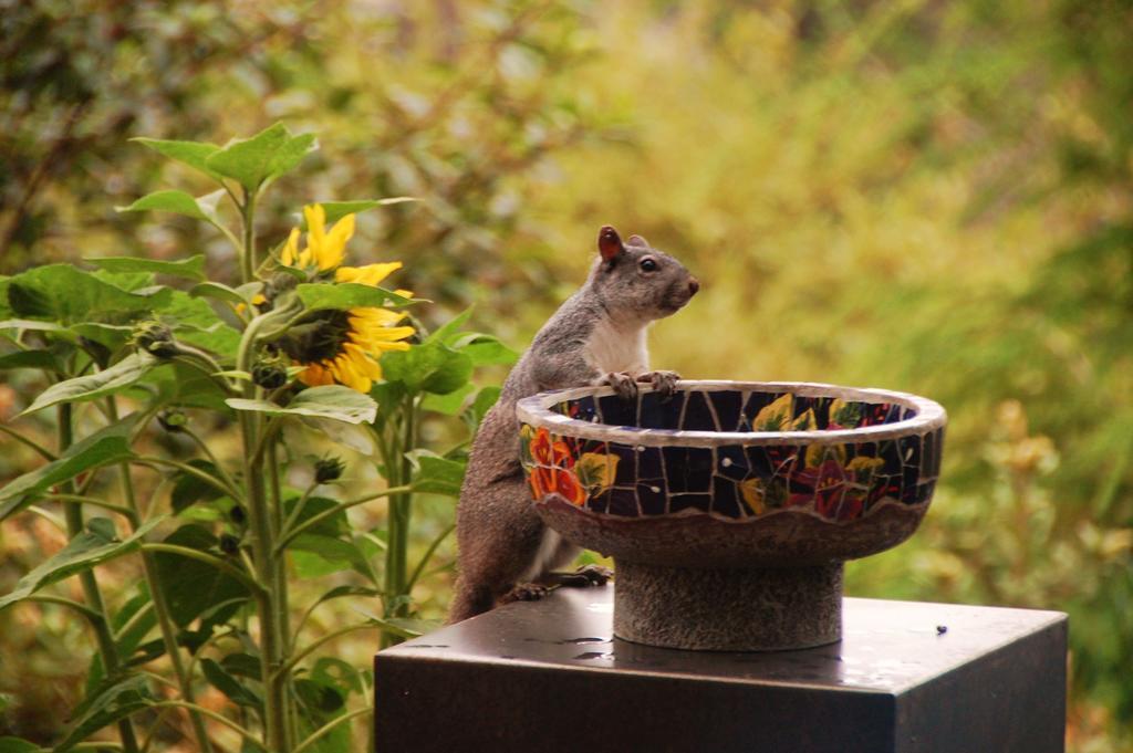 Brewery Gulch Inn & Spa Mendocino Bagian luar foto