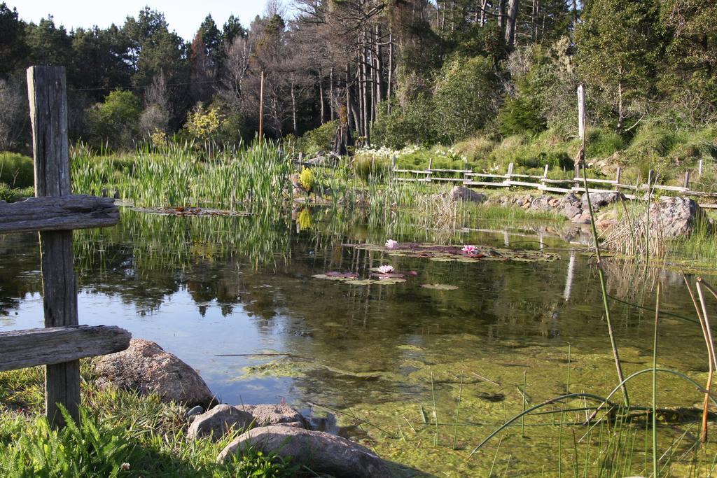 Brewery Gulch Inn & Spa Mendocino Bagian luar foto