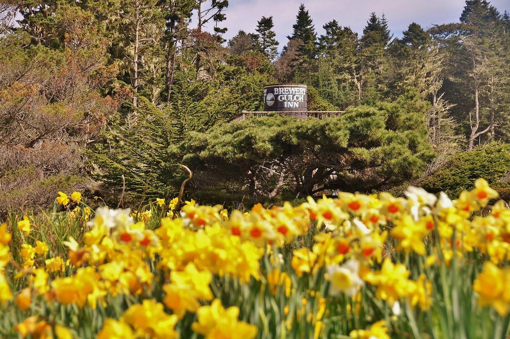 Brewery Gulch Inn & Spa Mendocino Bagian luar foto